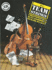 Team Strings, Bk 1: Book & Cd (Faber Edition: Team Strings, Bk 1)
