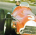 First Among Champions: the Alfa Romeo Grand Prix Cars