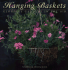 Hanging Baskets