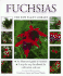 Fuchsias (the New Plant Library)