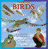 Learn About Birds (Learn About Series)