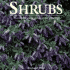 Shrubs