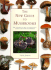 The New Guide to Mushrooms