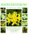Rhododendrons (the New Plant Library)