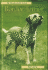 Pet Owner's Guide to the Border Terrier