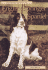 Pet Owner's Guide to the English Springer Spaniel