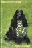 Cocker Spaniel (Pet Owner's Guide)
