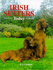Irish Setters Today (Book of the Breed S)