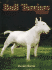 Bull Terriers Today (a Ringpress Dog Book of Distinction)