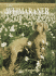 The Weimaraner Today