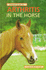 Concise Guide to Arthritis in the Horse (Concise Guide Series)
