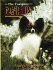 The Complete Papillon (Book of the Breed)