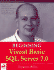 Beginning Visual Basic Sql Server 7.0