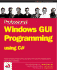 Professional Windows Gui Programming Using C#