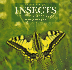 Close-Up on Insects: a Photographer's Guide