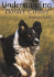 Understanding Border Collies