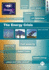 The Energy Crisis: V.204 (Issues Series Vol 204) (Volume 204)