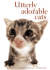 Utterly Adorable Cats (Hanadeka) (Hanadeka S. )