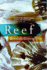 Reef
