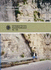 Geological Society of London Special Publications: Borehole Images: Applications and Case Histories (Volume 159)