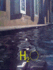 H2o Architecture