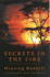 Secrets in the Fire