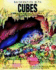 Mathematics With Cubes: Problem Solving Activities for Older Children
