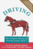 Driving (Complete Riding & Driving System)