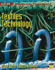 Gcse Design and Technology: Textiles Technology