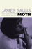 Moth (Lew Griffin, 2)