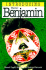 Introducing Walter Benjamin