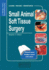 Small Animal Soft Tissue Surgery: Self-Assessment Color Review (Veterinary Self-Assessment Color Review Series)