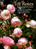 Tea Roses: Old Roses for Warm Gardens