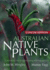 Australian Native Plants: Cultivation, Use in Landscaping and Propagation