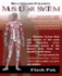 The Muscular System (Flash Paks/Volumes 1 and 2)