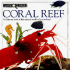 Look Closer: Coral Reef
