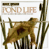 Look Closer: Pond Life