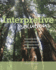 Interpretive Solutions