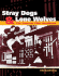 Stray Dogs & Lone Wolves: the Samurai Film Handbook