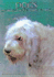 Dogs: a Portrait of the Animal World (Portraits of the Animal World)