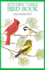 Kitchen Table Bird Book