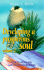 Developing a Prosperous Soul, Volume 2: How to Move Into God's Financial Blessings
