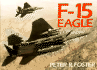 F-15 Eagle
