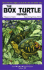 The Box Turtle Manual