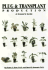 Plug and Transplant Production: a Grower's Guide