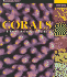 Corals: a Quick Reference Guide (Oceanographic Series)