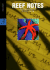 Reef Notes: 1993/1994