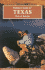 Flyfisher's Guide to Texas (Wilderness Adventures Flyfishing Guidebook)