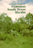 A Field Guide to Common South Texas Shrubs (Learn About Texas)