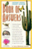 Arizona-Sonora Desert Museum Book of Answers